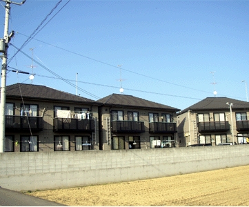 �f�B�A�X�y���cB��&nbsp;201&nbsp;�y���c��