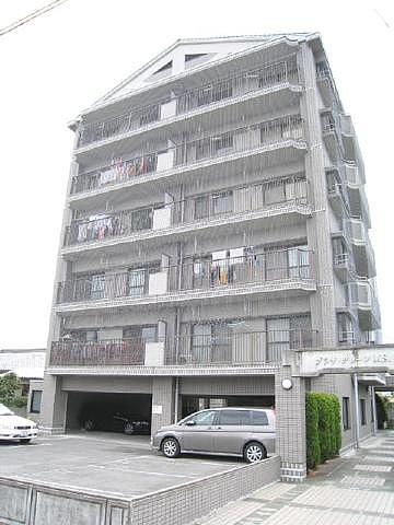 �v���U�O���[��MS&nbsp;501&nbsp;�z�q3����