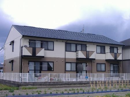 �O���C�X�n�C�cB��&nbsp;202&nbsp;�z�q2����