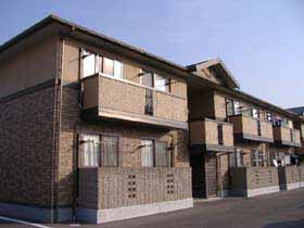 �Z�W���[���i�؇U&nbsp;203&nbsp;�y���c��