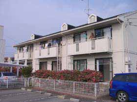 �Z�W���[���y���cB��&nbsp;203&nbsp;�y���c��