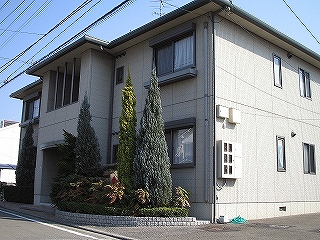 ���]���E�B�X�e���AB��&nbsp;201&nbsp;�v�ČE�c��